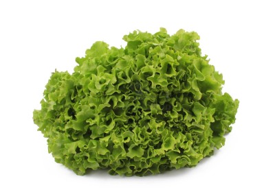 Салат айсберг 300 г - купить в Сопке